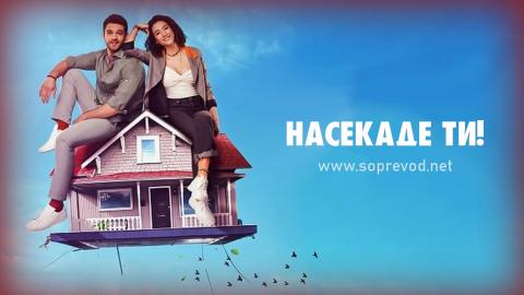 Насекаде ти! 41 епизода