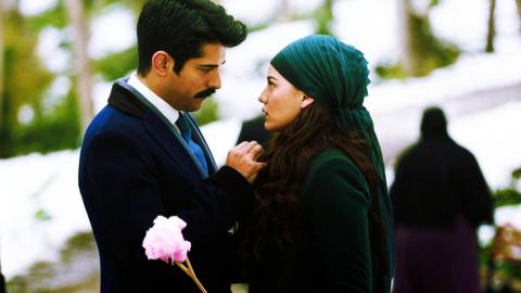 Дневникот на Фериде 21 епизода